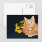 Kat met bloemen briefkaart (Voorkant / Achterkant)