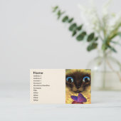 Kat met botervlieg - meervoudig visitekaartje (Staand voorkant)