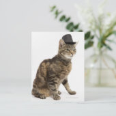 Kat met bovenste hoed briefkaart (Staand voorkant)