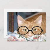 Kat met bril en boeken briefkaart (Voorkant / Achterkant)