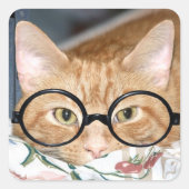 Kat met bril vierkante sticker (Voorkant)