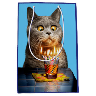 Kat met bruisend glas op de dag van de geboorte medium cadeauzakje