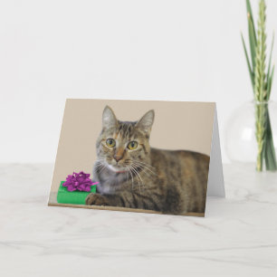 Kat met cadeau Verjaardag Kaart