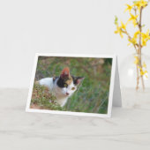Kat met Calico Pattern Kaart (Gele Bloem)