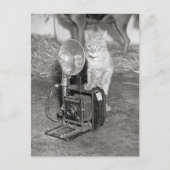 Kat met camera, 1936 briefkaart (Voorkant)