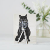 Kat met camera briefkaart (Staand voorkant)