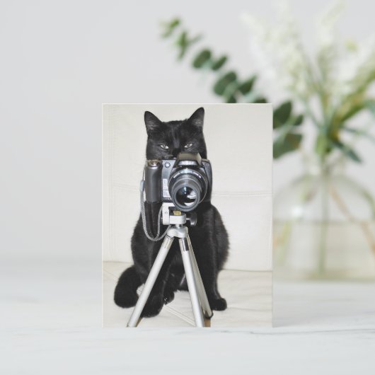 Kat met camera briefkaart (Staand voorkant)