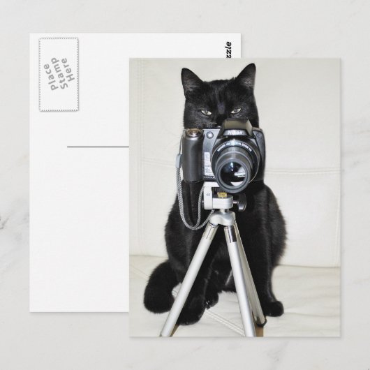 Kat met camera briefkaart (Voorkant / Achterkant)