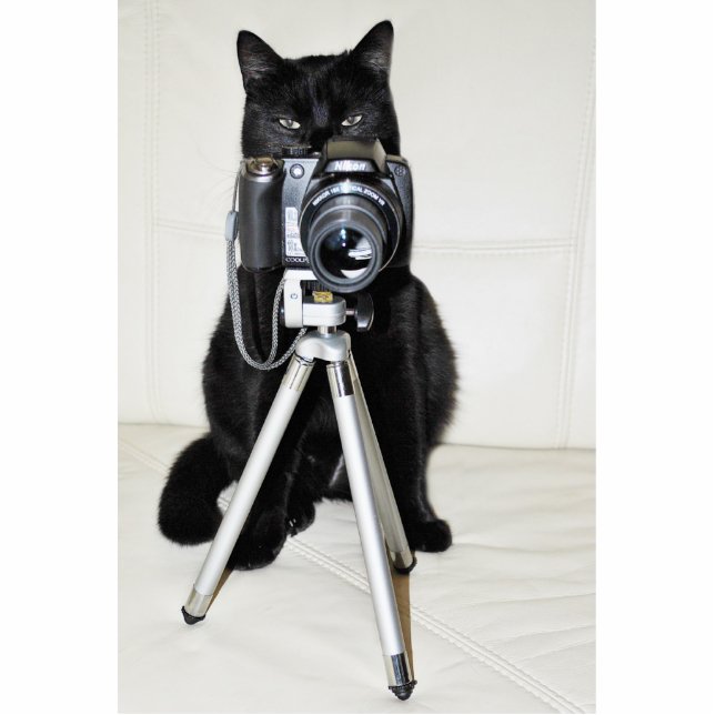 Kat met camera - Fotoskulptur Staand Fotobeeldje (Voorkant)