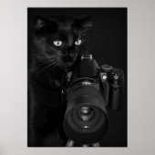 Kat met camera poster (Voorkant)