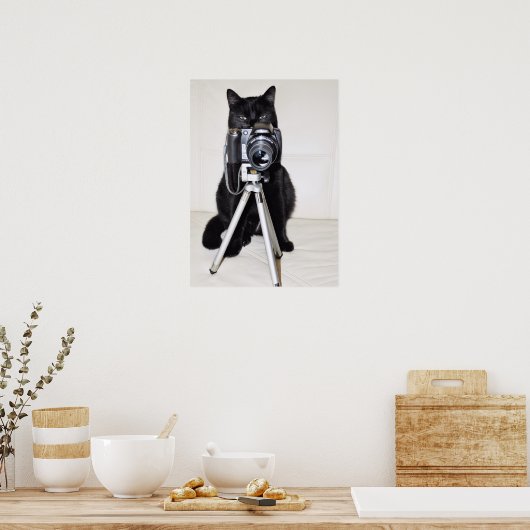 Kat met camera poster (Keuken)