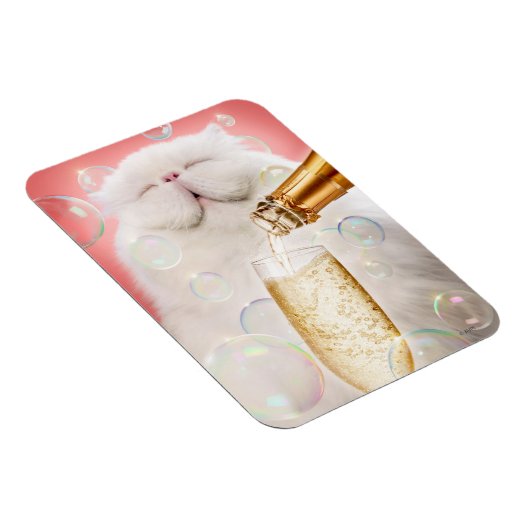 Kat met champagne magneet (Rechterzijde)