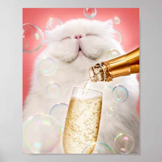Kat met champagne poster (Voorkant)