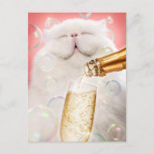 Kat met champagne uitnodiging briefkaart (Voorkant)