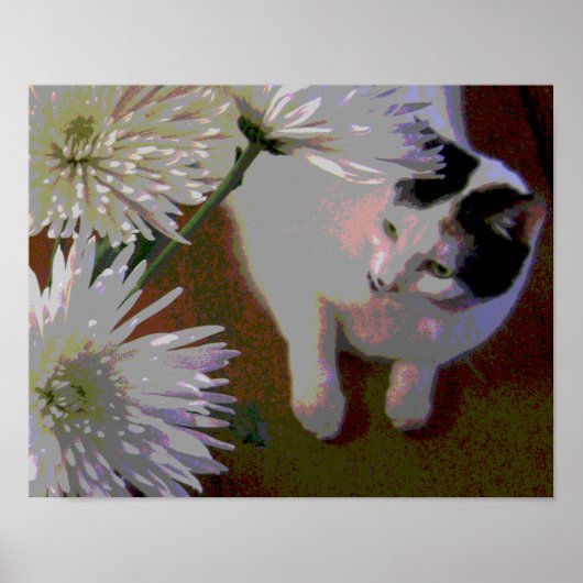 Kat met Chrysanthema — fijne kunstafdrukken Poster (Voorkant)