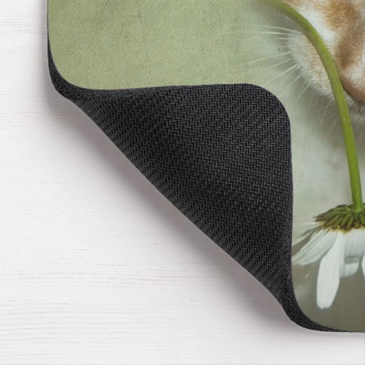 Kat met Daisy Muismat (Hoek)