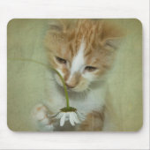 Kat met Daisy Muismat (Voorkant)