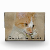 Kat met Daisy Pet Memorial Fotoblokken (Voorkant)