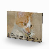 Kat met Daisy Pet Memorial Fotoblokken (Rechts)