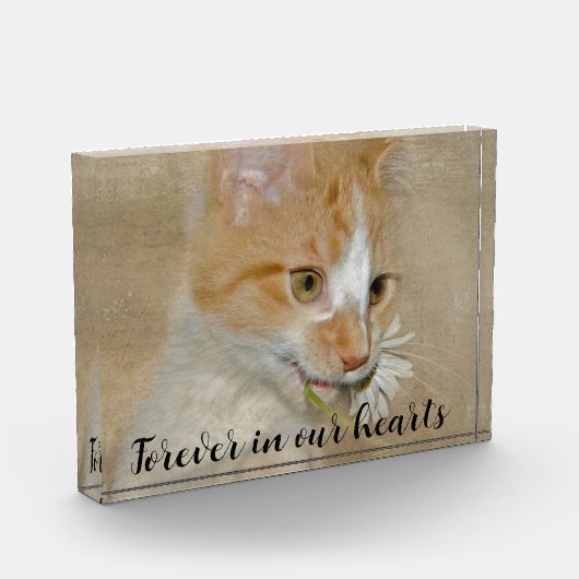 Kat met Daisy Pet Memorial Fotoblokken (Links)