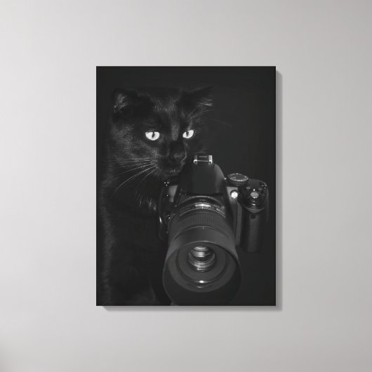Kat met de camera canvas afdruk (Voorkant)