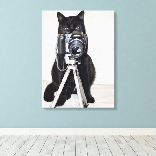 Kat met de camera canvas afdruk (Insitu (Houten vloer))