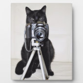 Kat met de camera fotoplaat (Voorkant)