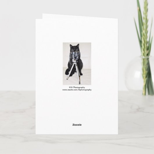 Kat met de camera kaart (Achterkant)