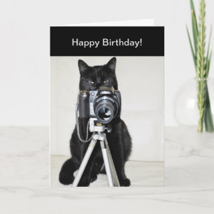 Kat met de camera kaart