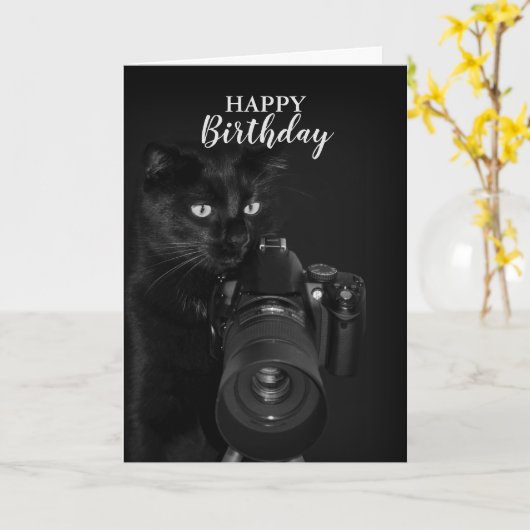 Kat met de camera kaart (Gele Bloem)