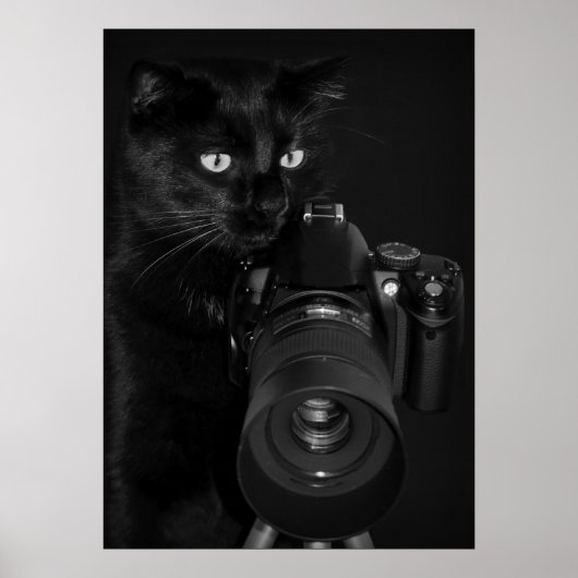 Kat met de camera poster (Voorkant)