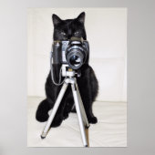 Kat met de camera poster (Voorkant)