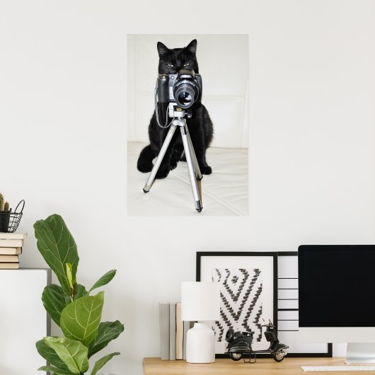 Kat met de camera - poster (Thuiskantoor)
