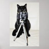 Kat met de camera - poster (Voorkant)