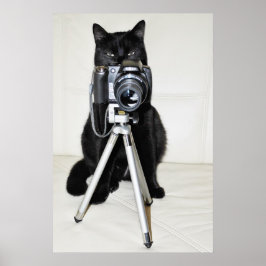 Kat met de camera - poster