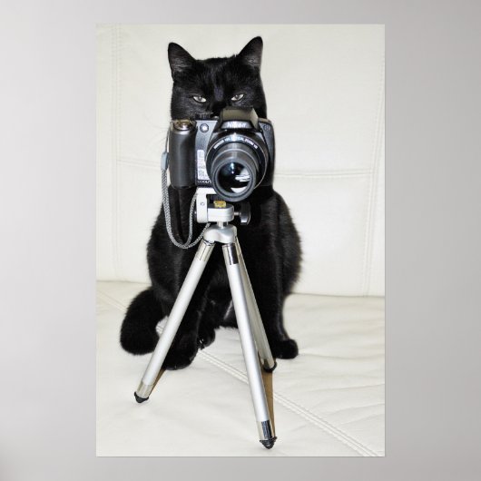 Kat met de camera - poster (Voorkant)