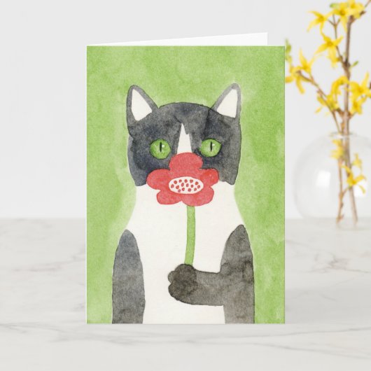 Kat met de Kaart van de Nota van de Bloem (Gele Bloem)