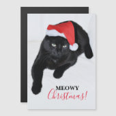 Kat met de Rode Kerstman (Voorkant / Achterkant)