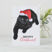 Kat met de Rode Kerstman Hoed Feestdagenkaart (Staand voorkant)