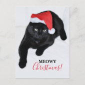 Kat met de Rode Kerstman Hoed Feestdagenkaart (Voorkant)