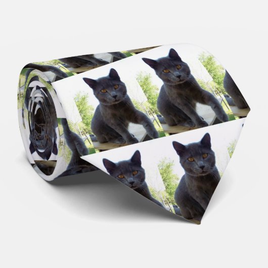 Kat met de thema stropdas. stropdas (Opgerold)