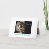 Kat met droevige ogen kaart (Achterkant)