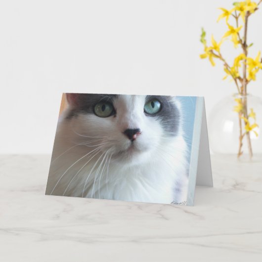 Kat met droevige ogen kaart (Gele Bloem)