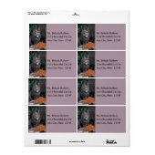 Kat met een aantrekkelijke verzendlabel (Full Sheet)