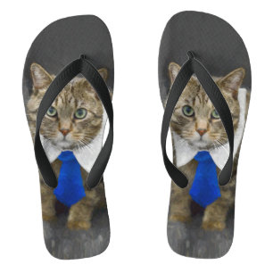 Kat met een blauwe stropdas met een rode bruine ka teenslippers