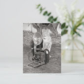 Kat met een camera, 1936 briefkaart (Staand voorkant)