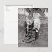 Kat met een camera, 1936 briefkaart (Voorkant / Achterkant)