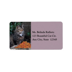 Kat met een Grateful Heart Adresetiket Etiket