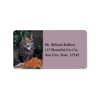 Kat met een Grateful Heart Adresetiket Etiket