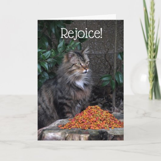 Kat met een Kaart van het Mirakel van Pasen (Voorkant)